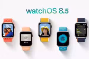 Hệ điều hành WatchOS 8.5 mới mang đến nhiều tính năng linh hoạt và tập trung vào theo dõi sức khoẻ người dùng