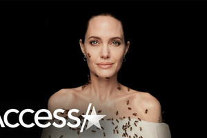 Angelina Jolie chụp hình cùng ong mà không cần mặc đồ bảo hộ