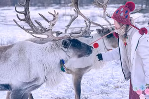 Khách Việt có thể xin e-visa đến Mông Cổ