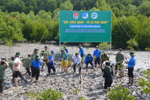 Cà Mau: Thanh niên trồng 3.000 cây đước trong lễ khởi động Tháng Thanh niên