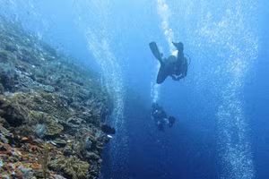 Khách Việt chi gần 250 triệu đồng lặn biển ở Đông Nam Á