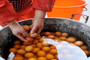 Du lịch Trung Quốc: Hoảng hồn với món trứng đồng nam ở Chiết Giang