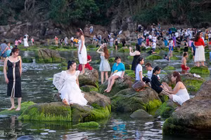 Chen chân chụp ảnh bãi rêu ven biển Đà Nẵng