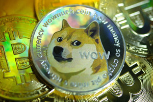 Lễ hội âm nhạc đầu tiên của Dogecoin được dự kiến ​​tổ chức vào tháng 10