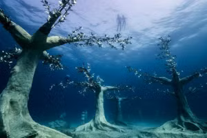 Vẻ đẹp kỳ ảo của bảo tàng dưới đáy biển