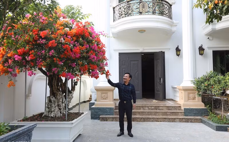 quang-teo-3.jpg