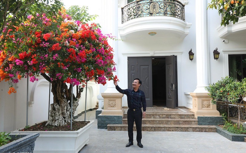 quang-teo-3.jpg