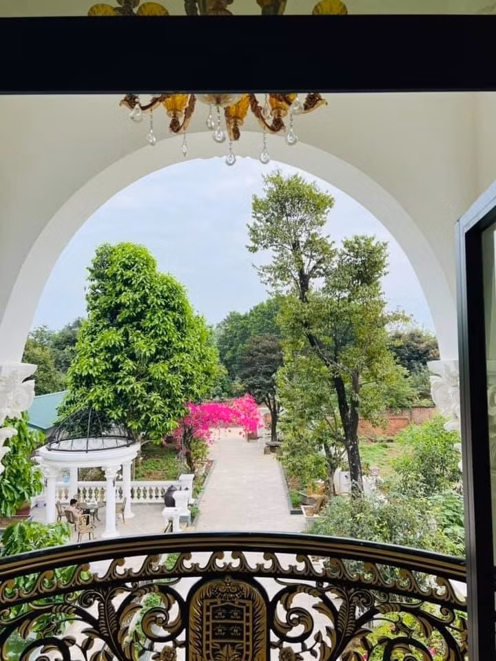 Đại gia chân đất" còn khoe một góc khác nhìn từ ban công xuống, trông ngôi nhà phủ cây cây xanh, hoa lá tựa không gian xanh mát tại công viên