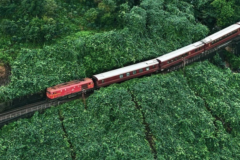 sjourney-3792.jpg