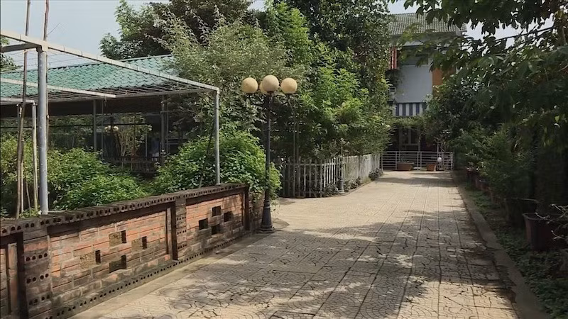 Lối vào nhà ngập tràn sắc xanh của cây lá, mang đến cảm giác bình yên và gần gũi với thiên nhiên