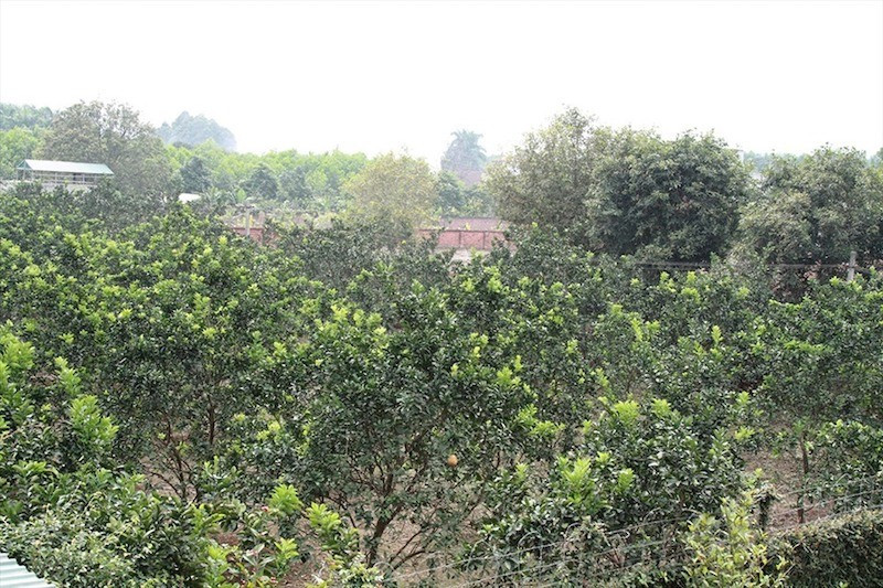 11-9285.jpg