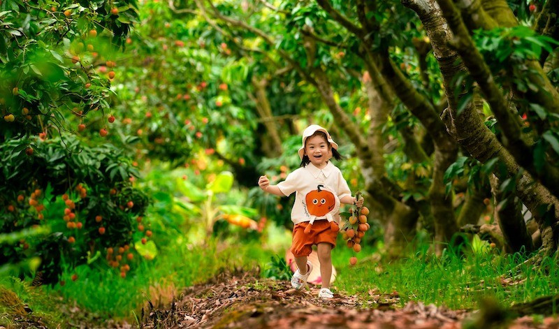 Niềm vui rạng rỡ của các bạn nhỏ khi trải nghiệm hái vải giữa vườn cây trĩu quả hai-vai.jpg
