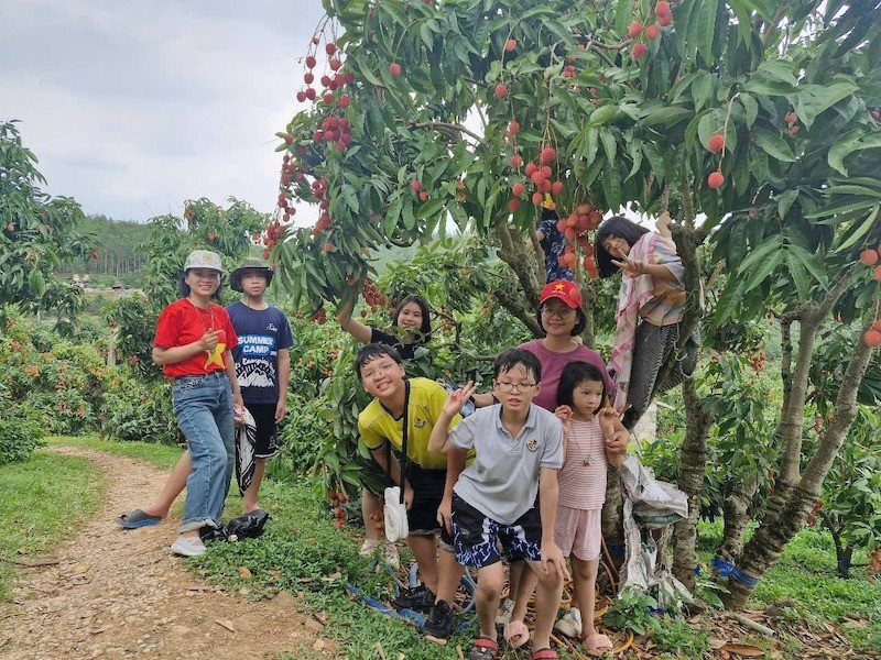 Hái vải không chỉ là hoạt động vui chơi mà còn giúp các em nhỏ hiểu thêm về nông nghiệp hai-vai-3.jpg