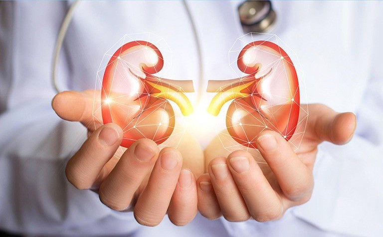 Thực hiện xét nghiệm đánh giá chức năng thận là một trong những phương pháp hiệu quả để phòng tránh nguy cơ mắc các bệnh lý về thận và kịp thời có biện pháp can thiệp khi có bất cứ dấu hiệu bất thường nào xet-nghiem-kiem-tra-chuc-nang-th.jpg