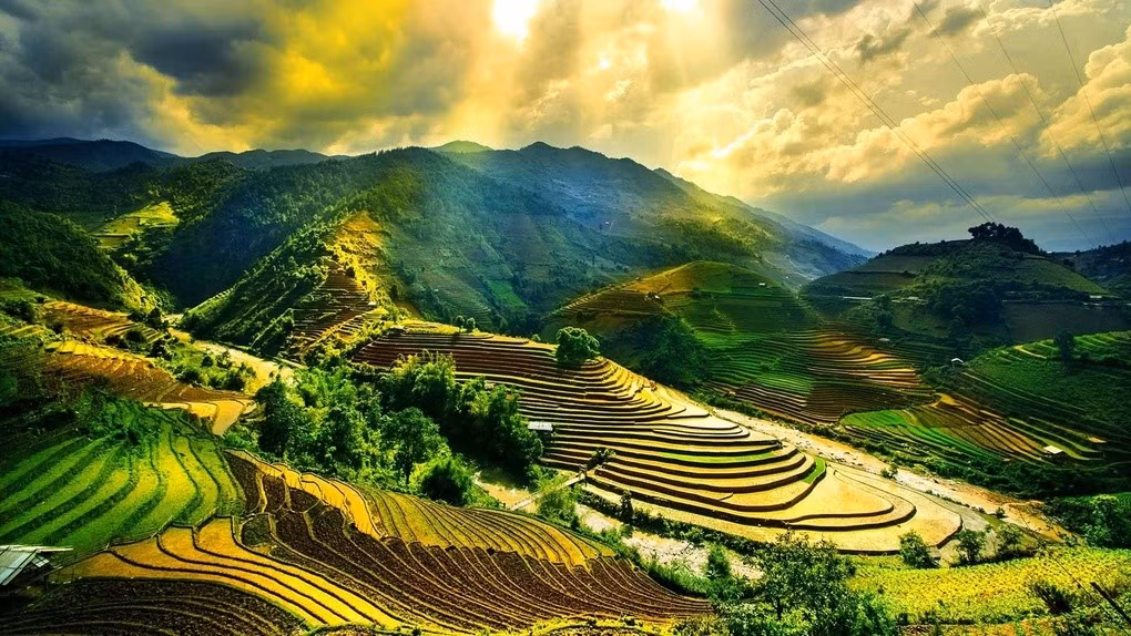 rice-field-terrace-vietnam-shutterstock-554460046-d71ff868b1-1.jpg