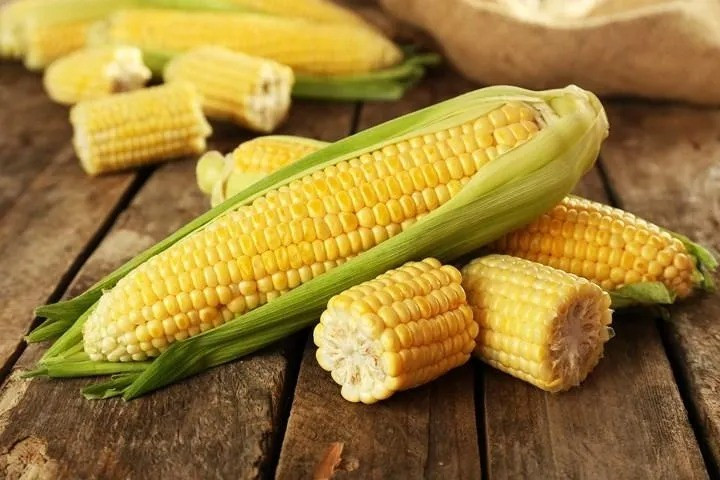 Ngô mang lại nguồn năng lượng lớn và lượng chất xơ dồi dào ngo.jpg
