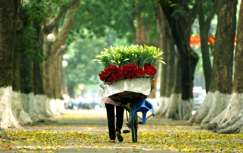 ha-noi-mua-thu-transviet01-16624.jpg