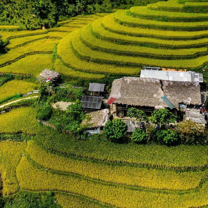 Những nếp nhà sàn nằm giữa ruộng bậc thang của người dân ở Bản Liền ban-lien-7606.jpg