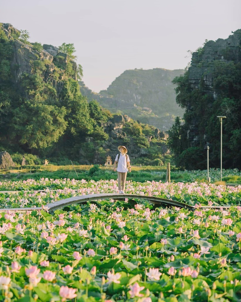 ninh-binh-1.jpg