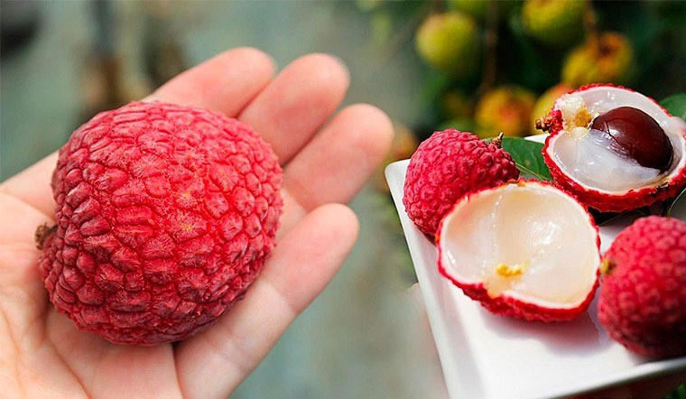 Mùa vải về đem theo hương vị ngọt lành đặc trưng của vùng nhiệt đới, song không phải ai cũng có thể thỏa sức thưởng thức loại quả hấp dẫn này vai.jpg