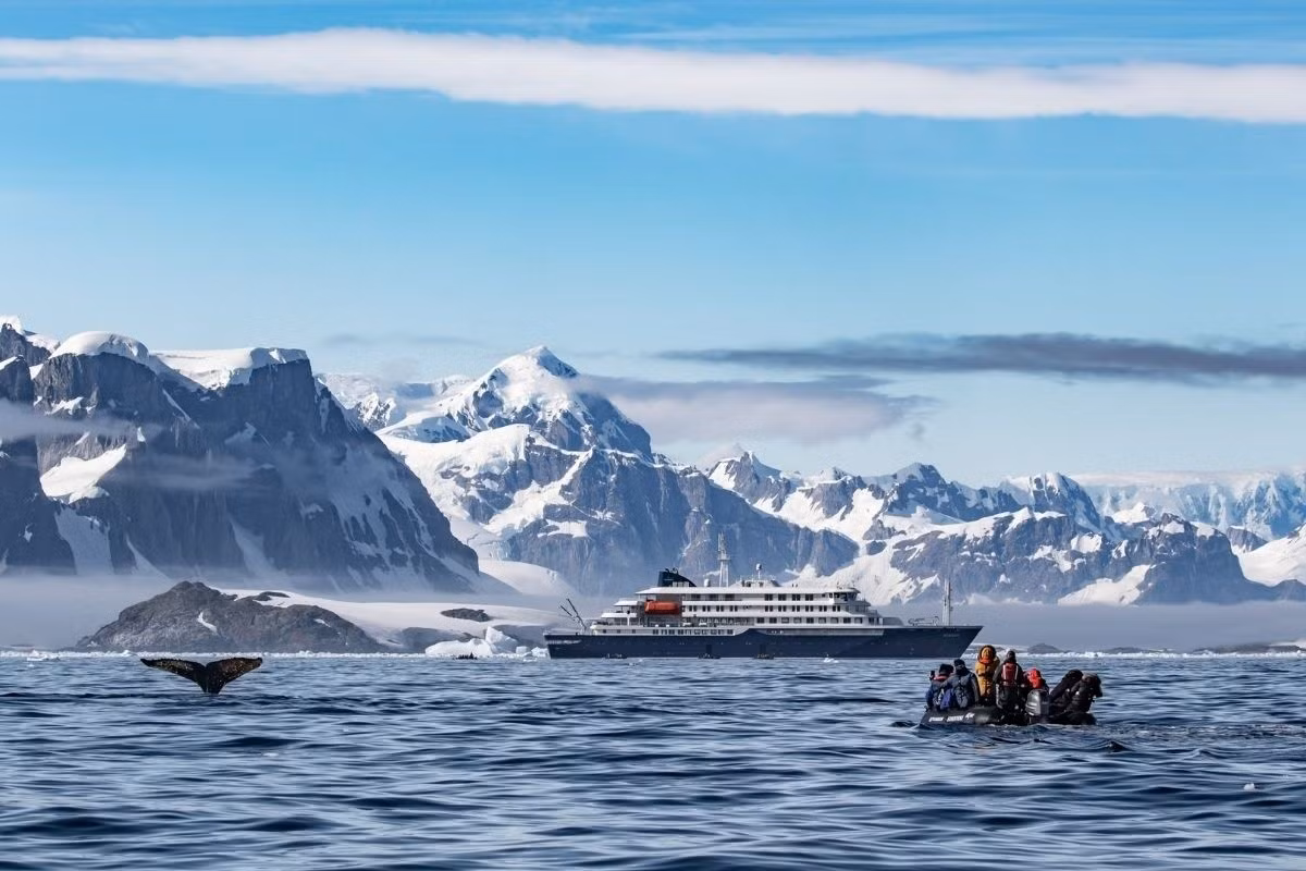 Tàu M/V Hondius là tàu thám hiểm vùng cực hàng đầu của Oceanwide Expeditions, được chế tạo chuyên dụng cho các chuyến thám hiểm sâu sắc ở Bắc Cực và Nam Cực