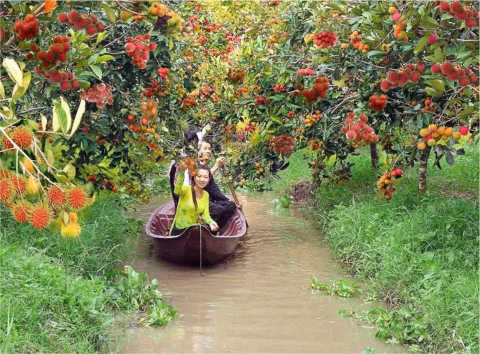 Du khách tham quan và thưởng thức trái cây tại Làng du lịch Mỹ Khánh (Cần Thơ)