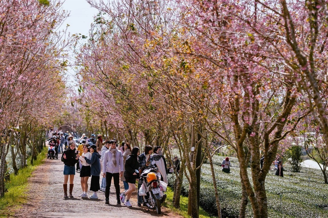 Còn chưa đầy một tháng nữa, ngành du lịch bước vào mùa cao điểm lớn nhất trong năm