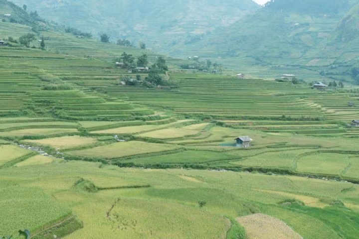 Đặc biệt, ruộng bậc thang bao phủ hơn 2.200 ha đất ở Mù Cang Chải. Trong đó, 500 ha được Bộ Văn hóa, Thể thao và Du lịch công nhận là di sản quốc gia thuộc ba ngôi làng La Pán Tẩn, Chế Cu Nha và Dế Xu Phình
