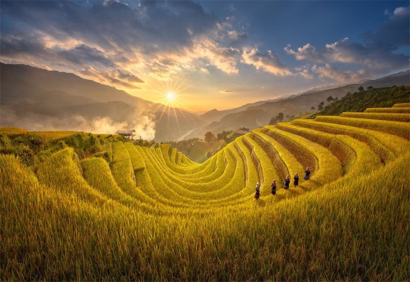 ruong-bac-thang-mu-cang-chai-yen.jpg