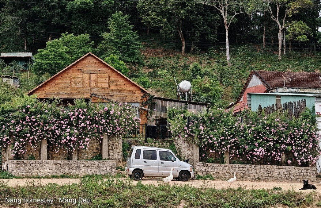 Homestay giữa Măng Đen, mang nét mộc mạc, yên bình 558985894-1265739162246891-71484-4744.jpg