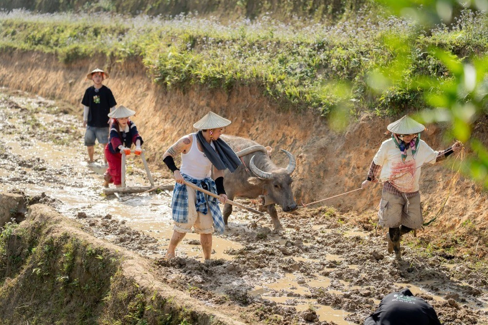 Lần đầu cày ruộng cùng trâu của các nghệ sĩ khi sống tại Bản Liền cay-9285.jpg