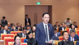 CEO Nguyễn Văn Luyến phát biểu tại nhiệm kỳ HĐND khóa XVI (2021 - 2026)