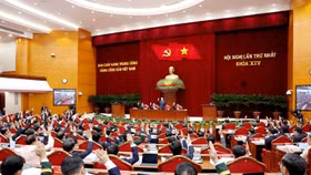 Các đồng chí Uỷ viên Trung ương biểu quyết tại Đại hội. Ảnh TTXVN