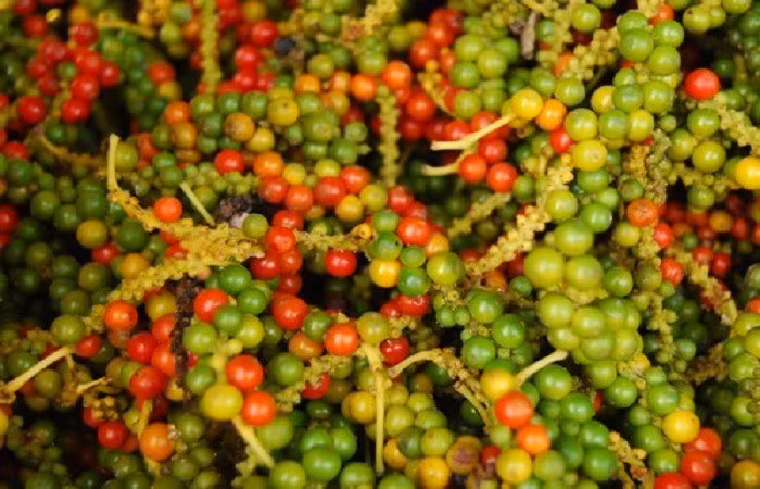 Giá nông sản hôm nay (2/12): Giá cà phê và hồ tiêu đồng loạt giảm mạnh