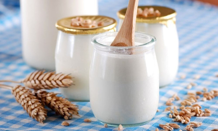 Sữa chua là nguồn bổ sung lợi khuẩn giúp tăng cường hệ tiêu hóa và miễn dịch cho sĩ tử trong mùa thi sua-chua.jpg
