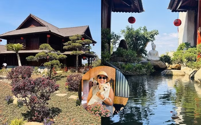 Nghệ sĩ Hoàng Mập là gương mặt quen thuộc của phim truyền hình Việt. Thời gian gần đây, anh gây chú ý khi hé lộ biệt phủ rộng khoảng 10.000m2 tại Lâm Đồng