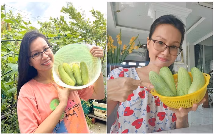 Khám phá cuộc sống miệt vườn của ca sĩ Cẩm Ly trong biệt thự 20 tỷ đồng