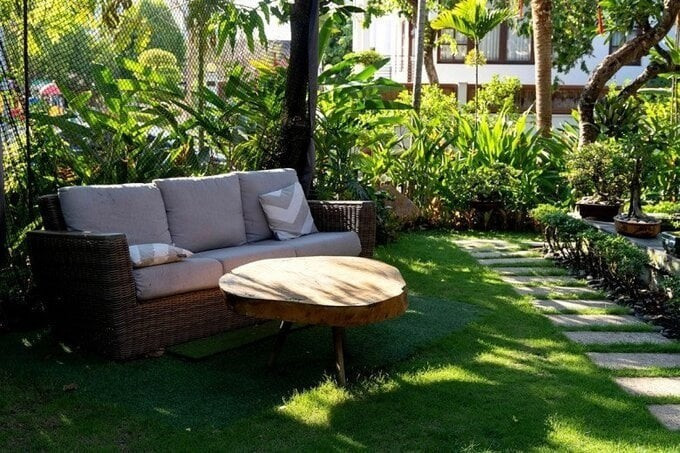 hoa-hau9.jpg