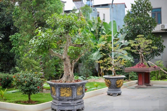 toan-canh-biet-thu-12-ty-tang-ba-1.jpg