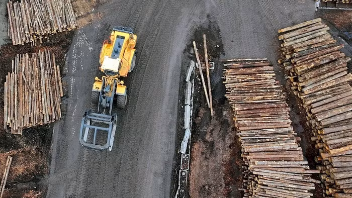 Gỗ là một trong những mặt hàng chính mà Mỹ nhập khẩu từ Canada. Ảnh: Reuters