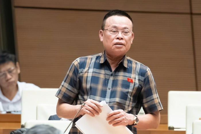 Đại biểu Nguyễn Như So (đoàn Bắc Ninh)