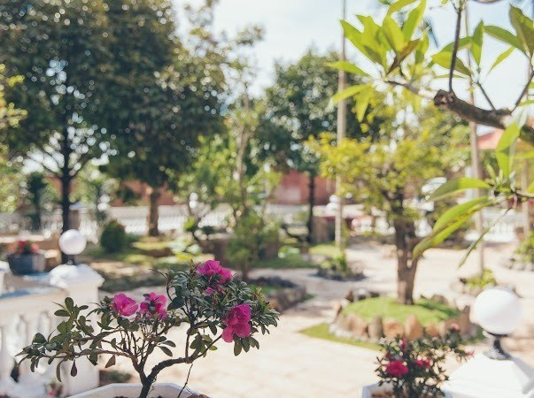 Phủ được bao bởi nhiều cây xanh