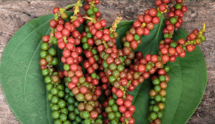 Giá nông sản hôm nay (6/11): Giá cà phê giảm nhẹ, hồ tiêu đi ngang