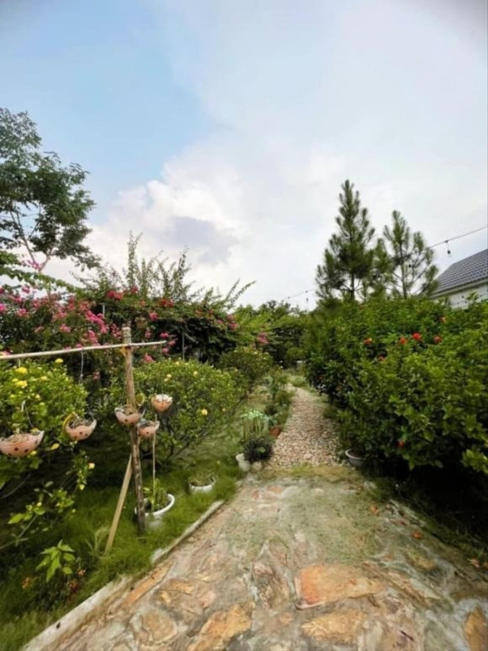nha-sao-viet-012-ngoisaovn-w679-6952.jpg