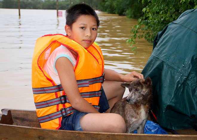 Nghìn người ở Hà Tĩnh chui mái nhà chờ nước rút ảnh 5