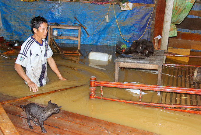 Nghìn người ở Hà Tĩnh chui mái nhà chờ nước rút ảnh 3