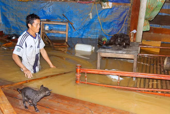 Nghìn người ở Hà Tĩnh chui mái nhà chờ nước rút ảnh 3
