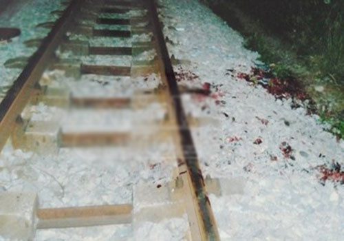 Nơi cơ quan chức năng tìm thấy chị Lan bị “tai nạn”. Ảnh: An ninh thủ đô.