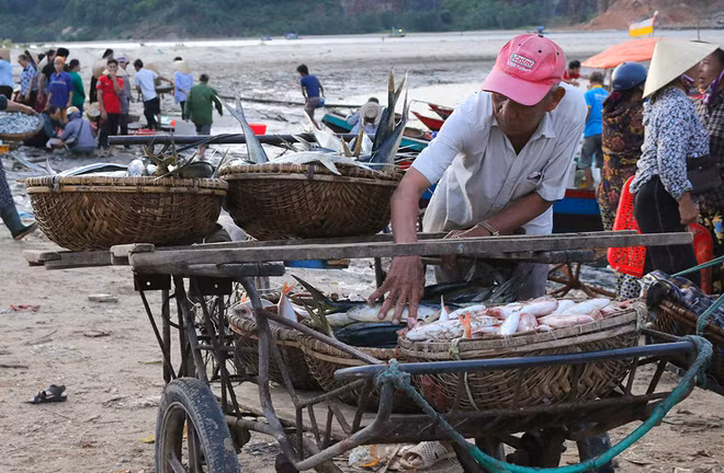 4 tháng sau sự cố Formosa, ngư dân vẫn gác mái chèo ảnh 12