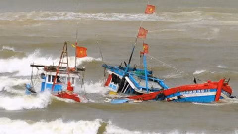 Họp khẩn 13 tỉnh chống bão số 4 ảnh 2